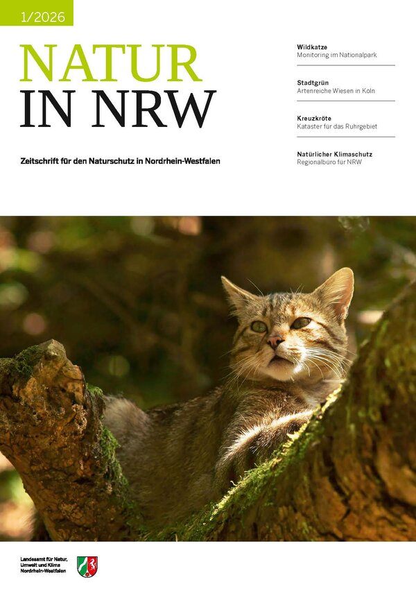 Titelseite der Ausgabe 2-2026 mit einem Foto einer Wildkatze, die auf einem Stück Totholz im Wald sitzt.