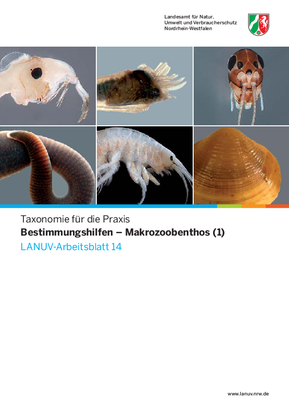 Taxonomie für die Praxis
Bestimmungshilfen - Makrozoobenthos (1)
