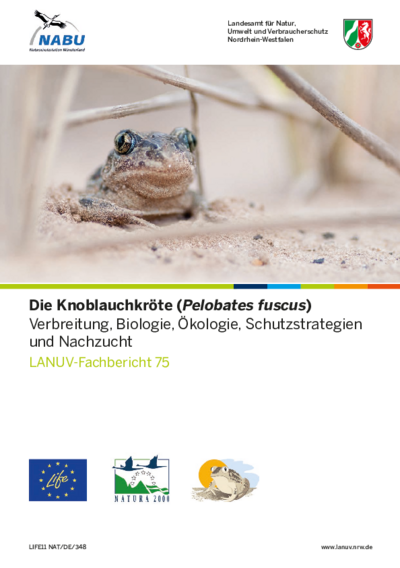 Die Knoblauchkröte (Pelobates Fuscus) - Verbreitung, Biologie, Ökologie, Schutzstrategien und Nachzucht