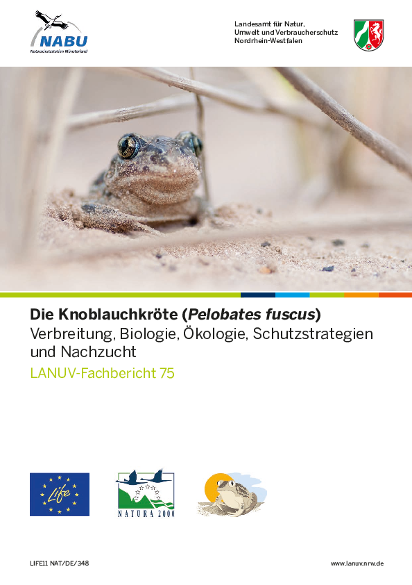 Die Knoblauchkröte (Pelobates Fuscus) - Verbreitung, Biologie, Ökologie, Schutzstrategien und Nachzucht