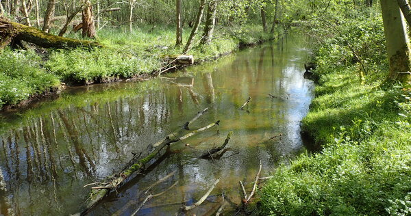 Fluss, Wasser