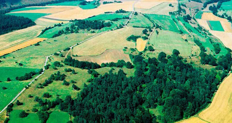 Reich strukturierte Kulturlandschaft mit Kalkmagerasen in der Sötenicher Kalkmulde bei Bad Münstereifel-Gilsdorf. Foto: Wolfgang Schumacher