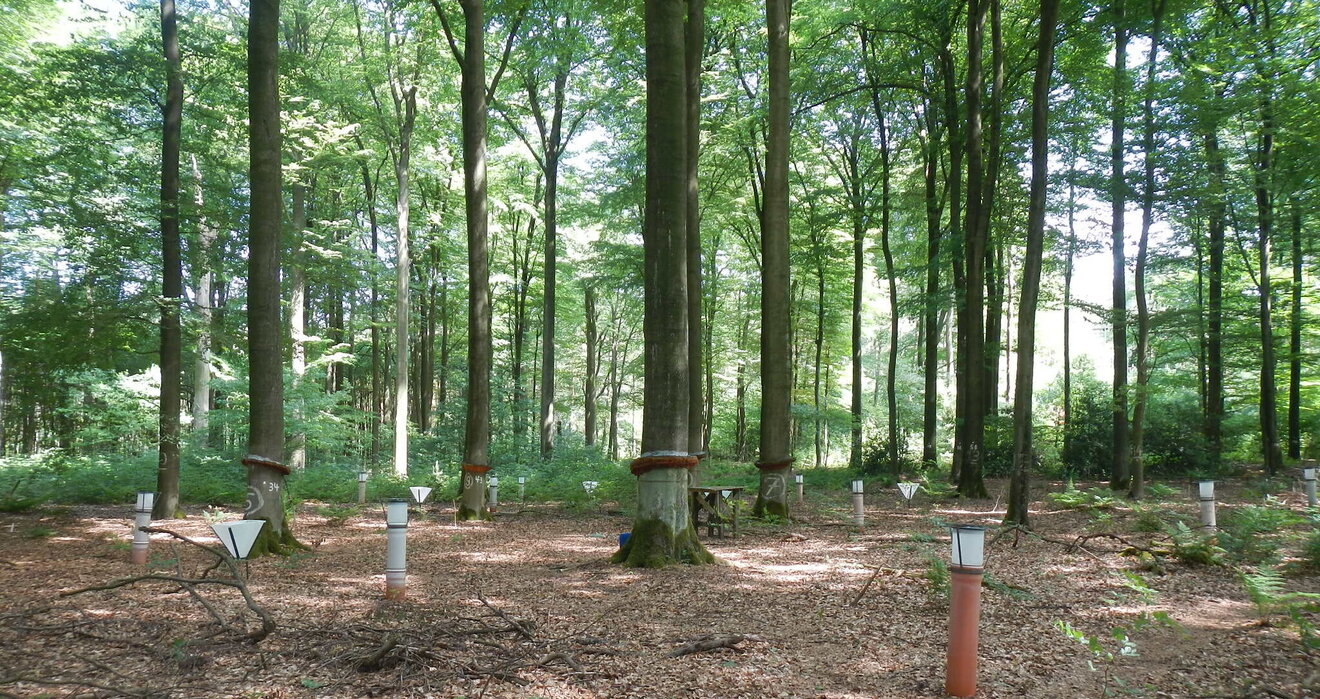 Foto: Nadine Eickenscheidt 