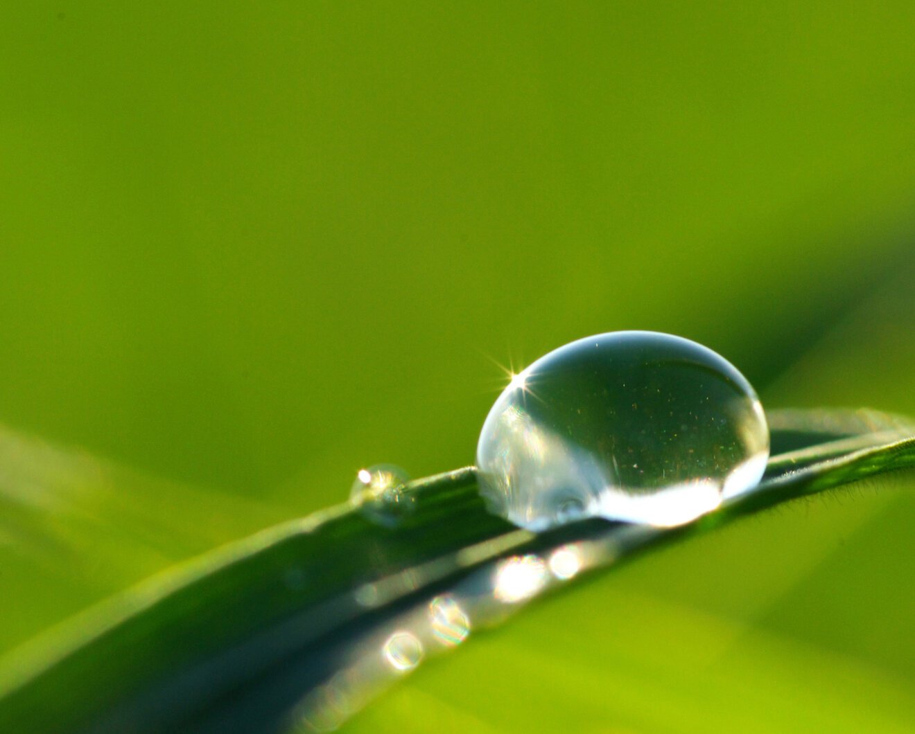 Wassertropfen, Foto: Panthermedia 