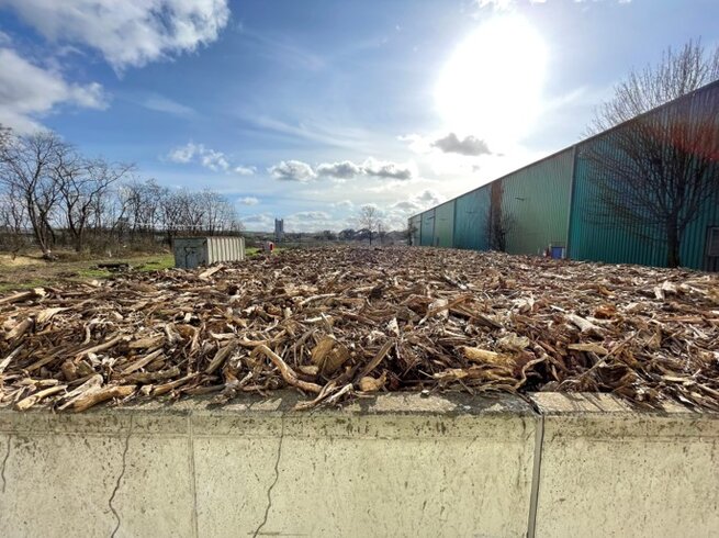 Biofilter mit frischem Wurzelholz