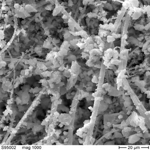 Elektronenmikroskopische Aufnahme von Feinstaub auf Quartzfaserfilter