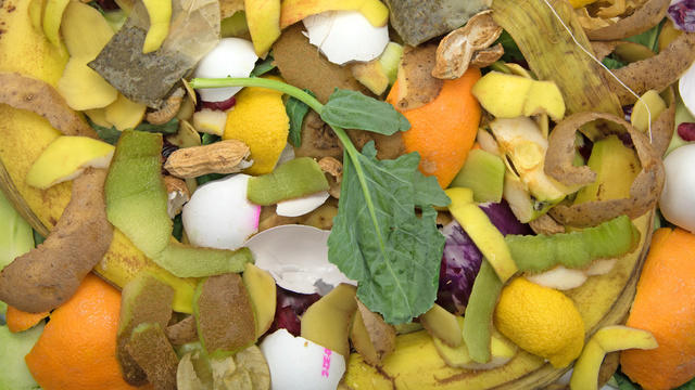 ©fotolia M. Schuppich